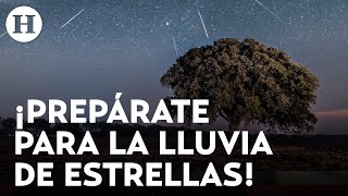 ¿Cuándo cómo y dónde observar la espectacular lluvia de Perseidas en México Estos son los detalles [upl. by Gates]