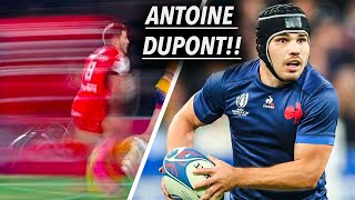 Antoine Duponts DOMINATING 202324 Highlights So Far [upl. by Ydisahc]