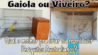 Qual é o melhor para reprodução de Periquitos Australianos viveiro ou gaiola [upl. by Llekim]