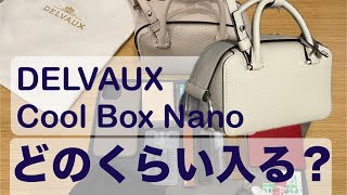 【意外と入る？】DELVAUX Cool Box Nano に色々入れてみた【In The Bag】 [upl. by Fesoy]