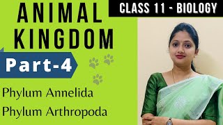 Animal Kingdom class 11 Biology  Phylum Anneleda Phylum Arthopada  Part4 [upl. by Erdman]