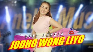 Dini Kurnia  Jodho Wong Liyo Official Music Video ANEKA SAFARI [upl. by Atteugram]