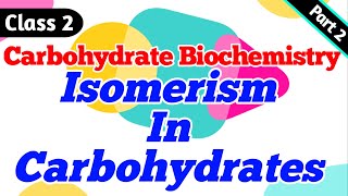 Isomerism in Carbohydrates  Anomers  Epimers  Carbohydrate Biochemistry Lecture 2 Part 2 [upl. by Nataline]