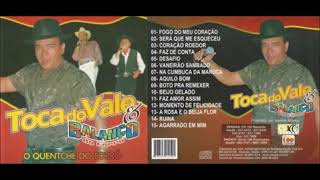 Toca do Vale  Volume 1  CD 2000 [upl. by Pitchford231]