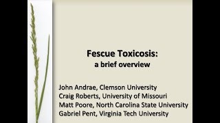 Tall Fescue Toxicosis Symptoms and CausesCraig Roberts [upl. by Colley]