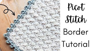 Easy Crochet Picot Stitch Border Tutorial for Beginners [upl. by Merth408]