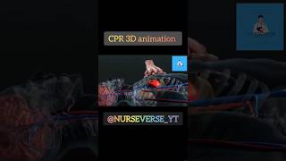 CPR 3D ANIMATIONcprresuscitationemergencyfirstaid3danimationshortsytshortyoutubefypytnew [upl. by Gaves800]