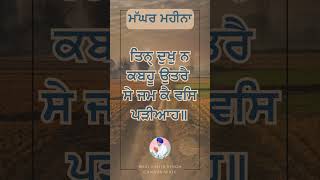 Maghar Di Sangrand  Gurbani Giani Sahib Singh Ji [upl. by Derron]