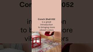 Color Intro Conch Shell 052  Benjamin Moore Color Trends 2023 [upl. by Amando]