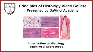 Introduction to Histology Staining and Microscopy [upl. by Ettenirt]