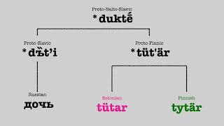 Uralic Languages Comparison Kinship [upl. by Eedoj88]