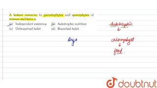 A feature common to gametophytes and sporophytes of mosses and ferms is [upl. by Sprague]