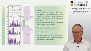 Ökologie des Wassers 87 Nahrungsnetze fressen und gefressen werden [upl. by Veneaux]
