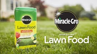 How to Use MiracleGro® Water Soluble Lawn Food [upl. by Tshombe]