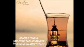 Canım İstanbul ŞiiriNecip Fazıl Kısakürek [upl. by Sisto]