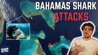 Bahamas Shark Attacks Shark Scientist Opinion [upl. by Ellenrahc985]