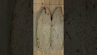 Fresh Milled Flour Sourdough Baguettes  GrainsInSmallPlaces [upl. by Yeorgi]