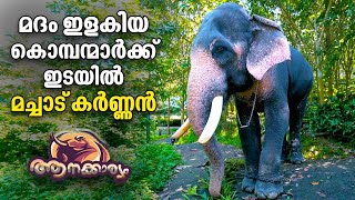 EP 04  മദം ഇളകിയ കൊമ്പന്മാർക്ക് ഇടയിൽ മച്ചാട് കർണ്ണൻ  Aanakkaryam  The Untold Elephant Stories [upl. by Omor774]