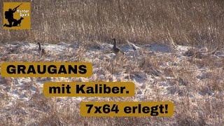 GÄNSEJAGD🦢beim Rehwild ANSITZ✅Jagd 2024HunterSpirit [upl. by Severen]