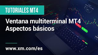 XMCOM  Tutoriales MT4  Ventana multiterminal MT4  Aspectos básicos [upl. by Revert231]