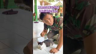 Bantuin kucing melahirkan sulap magic sihir shortvideo [upl. by Aknaib]