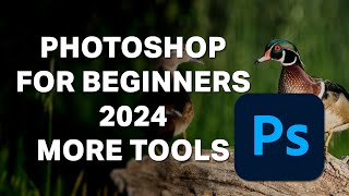 Photoshop For Beginners 2024  Lesson 3  Even MORE Tools [upl. by Gnep]