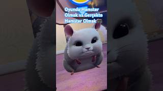 Hamster oyunu buldum hamsterımla oynuyoruz 😂 [upl. by Mathew80]