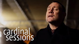 David Gray  Accumulates  CARDINAL SESSIONS [upl. by Oetomit658]