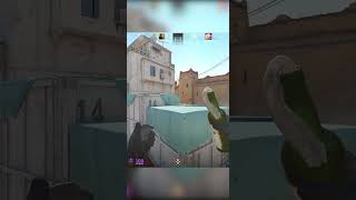 Shoot Rope No Scope cs2 funnymoments shootingrope gaming counterstrike counterstrike2 [upl. by Ormand439]