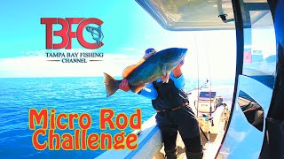 Micro Rod Challenge Offshore Tampa Bay Plus different techniques [upl. by Mikaela169]