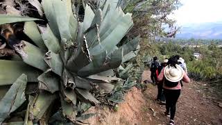 Trekking a Luricocha  Huanta [upl. by Nitniuq]