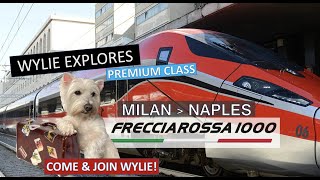 PREMIUM CLASS ON FRECCIAROSSA 1000  MILAN  NAPOLI [upl. by Harlen]