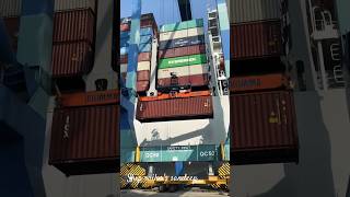 Cargo Operations on Container ShipHow are Containers Loadedshipcontaineryoutubeshortsytshorts [upl. by Ahsiemak]