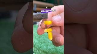 Técnica de índio para colocar milho 🌽 no anzol 😱 pesca anzol shorts tools dica [upl. by Lertnek]