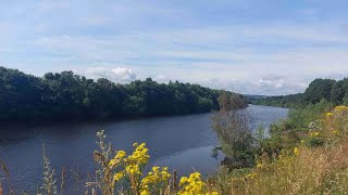 Newburn  Wylam loop with iWalksNE 77 miles  No fog on the Tyne today [upl. by Evelyn934]