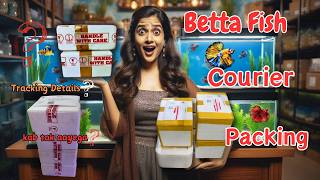 Betta Fish Courier Packing Video  Betta Rack Betta Fish Shipping [upl. by Ehrsam]