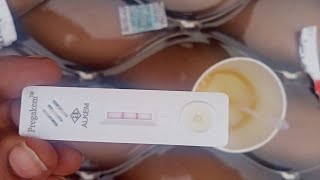 प्रेगनेंसी टेस्ट किट pregnancy test positivePregnancy test kit ka use kaise karepregnancy test [upl. by Damien]