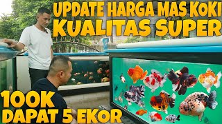 10 Jenis Ikan mas koki tercantik dan terpopuler [upl. by Anigger]