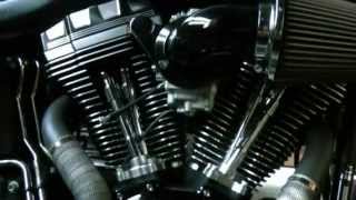 THUNDERHEADER Exhaust Ver3 Harley Davidson FATBOY LO （carburetor） [upl. by Buff]