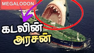 கடலை ஆண்ட அசுரன் 😱  The Megalodon  Tamil [upl. by Harrat]