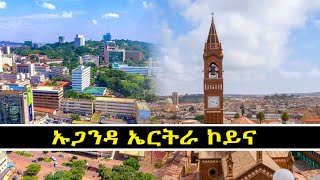 Mestyat Betna  ኡጋንዳ ኤርትራ ኮይና [upl. by Daphne567]