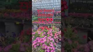 Calgary CanadaSurah Ikhlasshortsvideo islamicvideo natural 🌺🌺 [upl. by Howland386]