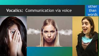 Nonverbal Codes Vocalics [upl. by Oirevlis802]