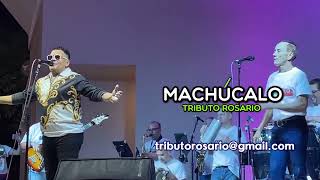 Machúcalo Tributo a Los Rosario [upl. by Anecuza]