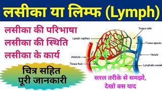 लसीका या लिम्फ LYMPH  lasika  lasika kya hai  lasika ke karya  function of lymph  biology [upl. by Lletnom825]