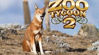 Zoo Tycoon 2Ethiopian Wolf Exhibit Tutorial [upl. by Sivia]