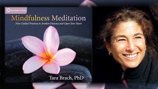 Tara Brach – Mindfulness Meditation 9 Guided Practices Audio [upl. by Zasuwa]