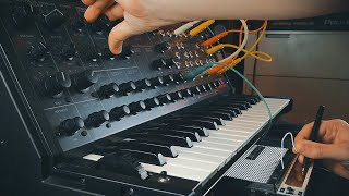 Stylophone through a Korg MS20 [upl. by Jonas]