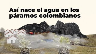 Así nace el agua en los páramos colombianos  Especiales RCN Radio [upl. by Ranna]