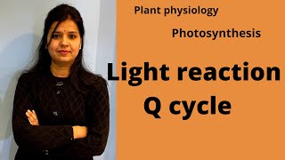 Q cycle in photosynthesis photosynthesis neetbiology csirnet [upl. by Elwee]